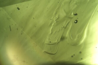 UNE PIERRE POUR LA POSTÉRITÉ