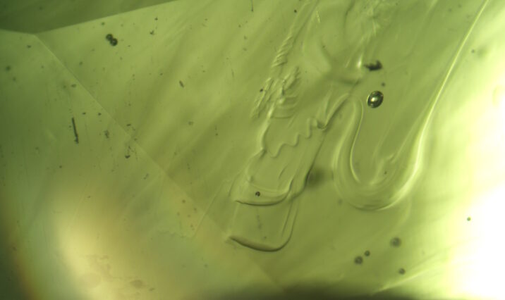 UNE PIERRE POUR LA POSTÉRITÉ